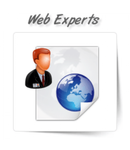 Web Designing Experts